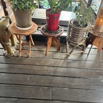 リトル ランカ - 