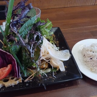 WILD RICE