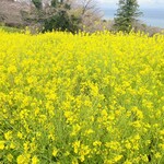 一夜城 ヨロイヅカ・ファーム - 