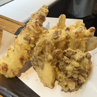 満天うどん カジバノバカヂカラ_1