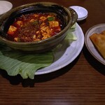 松の樹 - 