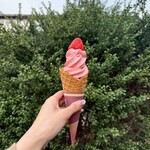 あすか夢販売所 - 料理写真: