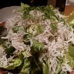 しらすぶっかけサラダ。