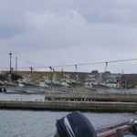 昭恋館 よ志のや - 間人港には間人カニを漁する5隻の船