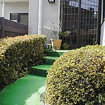 桃栗柿カフェ - アプローチ