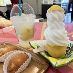 島ごころ SETODA - 