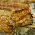 鰻 にしはら - うな丼（中）