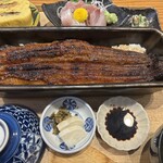 鰻魚四代目菊川 京都驛Porta店 - 