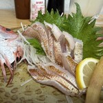 サカトケ乃カミ - 