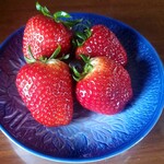 こじゃ箱 - 料理写真:品種：ほしうらら