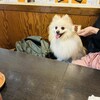 鳥居酒屋 結樹
