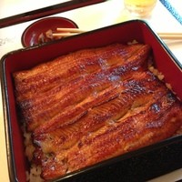 鰻割烹 伊豆栄 本店 - 