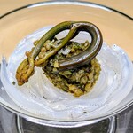 サカナノウタ - 