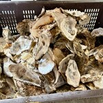 藤栄水産 - 我々３人が食べた牡蠣の殻…(ʘ‿ʘ)