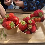 FRUITFUL GARDEN ひのの実 - 