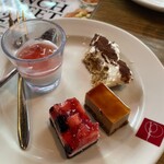 SALVATORE CUOMO & BAR - パンナコッタとベリームースとキャラメルムースとティラミス。珈琲も程よい酸味で香りとコクと苦味がティラミスに合って美味しい