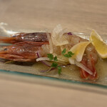 ピザとハムと時々ワイン ボンジョルノ食堂 - 赤海老のカルパッチョ