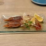 ピザとハムと時々ワイン ボンジョルノ食堂 - 赤海老のカルパッチョ