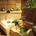 ベトナミーズ・シクロ - 水辺にシクロが２台