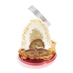 レ・グーテ - モンブランの断面 '15 1月中旬