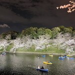 マザーインディア - 千鳥ヶ淵の夜桜