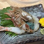 居酒屋　うみ幸 - 白とらえび