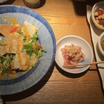 茶茶 花 - 