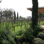 GRGICH HILLS ESTATE - 