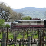 Robert Mondavi Winery - 