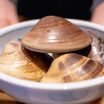 温石 - 2025.2 焼津産蛤（はまぐり）