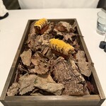 Installation Table ENSO L'asymetrie du calme - 