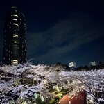 楽観 - 