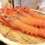 すし 良月 - 
