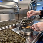 THE ATLAS SINGS - 弊社のキャビア工場