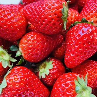 セブンハンドレッドクラブレストラン_0