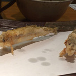 石臼挽き手打 蕎楽亭 - 2015.2季節天婦羅 ワカサギ。これも稚鮎同様立ってる！