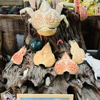 魚宮_0