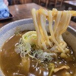 すみや庵 - カレー南うどん2