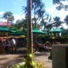 Dole Plantation