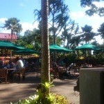 Dole Plantation - 