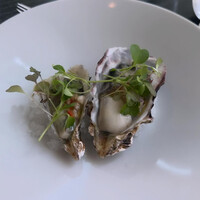 THE COSMOPOLITAN GRILL BAR TERRACE - 