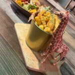 safari - 