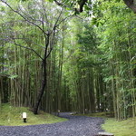 月のうさぎ - 翌日は束の間の晴天☆