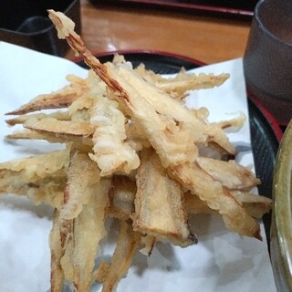 大地のうどん_1