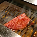 NO MEAT,NO LIFE. 6x - 