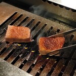 NO MEAT,NO LIFE. 6x - 