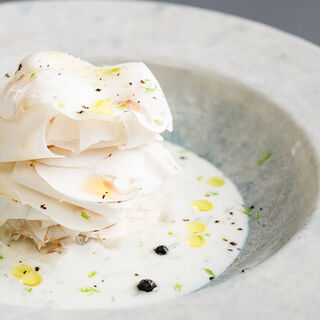 マッシュルームトーキョー_0