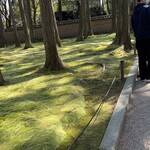 きとら - 