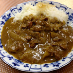 鳥文 - カレー  辛さはスパイス(ふりかけタイプ)調整