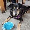 まるいち食堂 - 